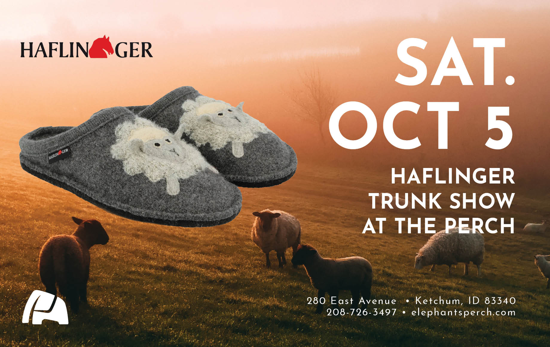 Haflinger Trunk show at The Elephant's Perch on Saturday, October 5